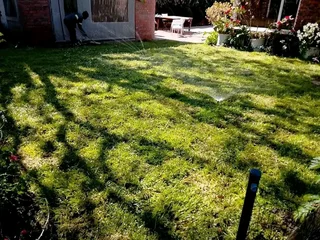 Evergreen Grass All Seasons instant lawn