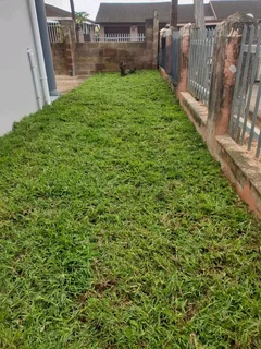 Farm fresh All Seasons Evergreen instant lawn