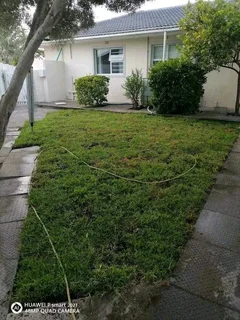 Farm fresh All Seasons Evergreen instant lawn