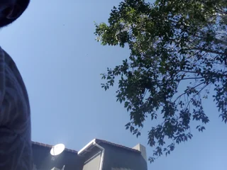 Female Flatmate wanted for flat in Westdene