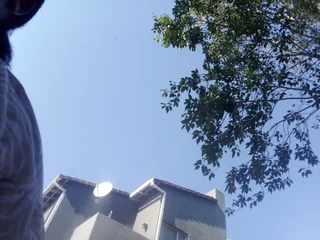 Female Flatmate wanted for flat in Westdene