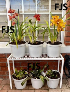 CUSTOM  FJS  PLANT STANDS, POT STANDS, TIER  STANDS, PLANT SHELVES, POT SHELVES, MESH STANDS