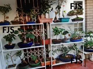 CUSTOM  FJS  PLANT STANDS, POT STANDS, TIER  STANDS, PLANT SHELVES, POT SHELVES, MESH STANDS