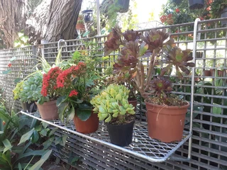 GARDEN  FJS  STEELWORKS - STANDS, SHELVES, BRACKETS, DECOR, POT HOLDERS, GLOBES