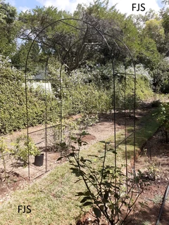 CUSTOM  FJS  GARDEN ARCHES 3, TRELLIS, OBELISKS, CLIMBER STRUCTURES, TOPIARIES, PERGOLAS