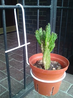 CUSTOM  FJS  WALL  PLANT SHELVES, HOOK-OVER OR MOUNTED, PLANTER BOX BRACKETS, POT PLANT HOLDERS