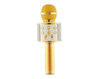 Demo Everlotus Wireless Karaoke Microphone KM-658 On Sale