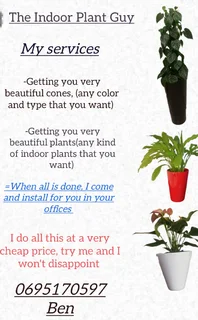 Doing Indoor Gardens