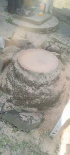 RJ TREE FELLING FULLY INSURED 084 730 0625 www.rjtreefellingza.co.za