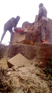 RJ TREE FELLING FULLY INSURED 084 730 0625 www.rjtreefellingza.co.za