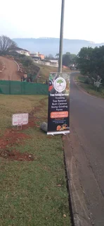 RJ TREE FELLING FULLY INSURED 084 730 0625 www.rjtreefellingza.co.za