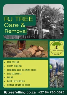 RJ TREE FELLING FULLY INSURED 084 730 0625 www.rjtreefellingza.co.za