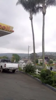 Rj Tree Felling Fully Insured 084 730 0625 Www.rjtreefellingza.co.za 