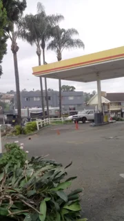 RJ TREE FELLING FULLY INSURED 084 730 0625 www.rjtreefellingza.co.za 