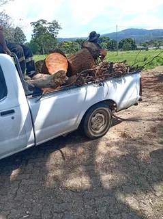 RJ TREE FELLING FULLY INSURED 084 730 0625 www.rjtreefellingza.co.za 