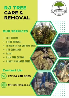 Rj Tree Felling Fully Insured 084 730 0625 small Guys With Professional Services