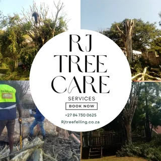RJ TREE FELLING FULLY INSURED 084 730 0625 SMALL GUYS WITH PROFESSIONAL SERVICES