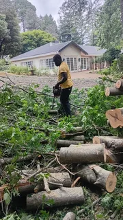 RJ TREE FELLING FULLY INSURED 084 730 0625 SMALL GUYS WITH PROFESSIONAL SERVICES