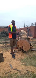 RJ TREE FELLING FULLY INSURED #RELIABLE MEN 084 730 0625