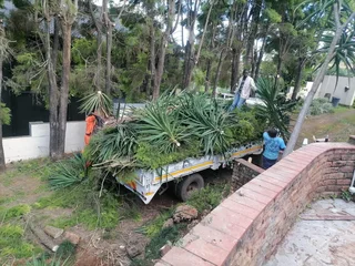 RJ TREE FELLING FULLY INSURED #RELIABLE MEN 084 730 0625