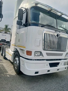 International horse for sale