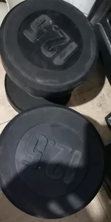 12.5kg round gym weights for sale