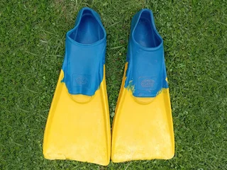 Aqua Line Swim Fins (flippers) - Ready for the Water!