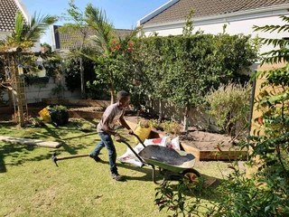 Pools and Tree felling