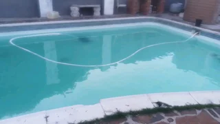 Pools and Tree Felling