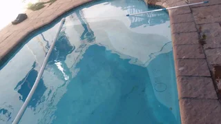 Pools and Tree Felling