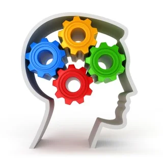 Junior Marketing Assistant