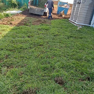 ALL SEASON EVERGREEN GRASS