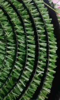 ASTRO TURF INSTALLATION