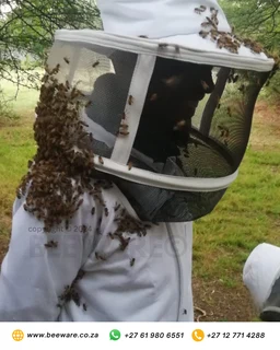 Beekeeping Suit