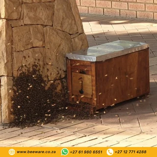 Catch Box Ventilated Entrance – 6 Frame – Nuc Box