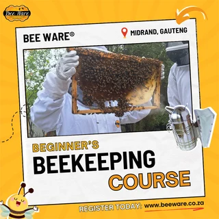Beginner Beekeeping Course