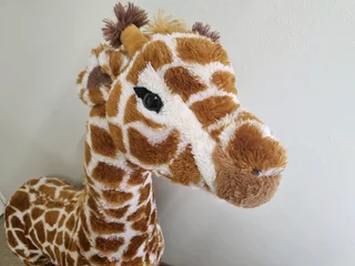 Giant giraffe soft toy R850