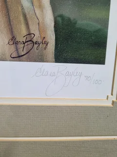 Retief Goosen-The Golden Goosen 70/100-