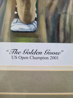 Retief Goosen-The Golden Goosen 70/100-