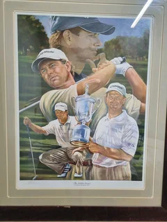 Retief Goosen-The Golden Goosen 70/100-