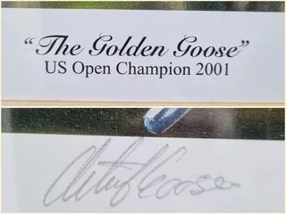 Retief Goosen-The Golden Goosen 70/100-