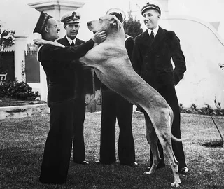 Dream Images Photo Restoration Services. Conversion of prints to digital.