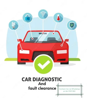 Car diagnostics and fault clearance