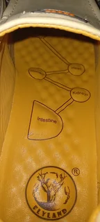 Flyland Artisan Heart Health outdoor Sport Shoe