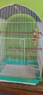 Bird cage