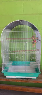 Bird cage