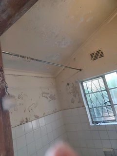 Affordable Painter (0642919982)