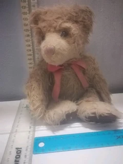 Buy a special teddy bear, support the hAndicapped