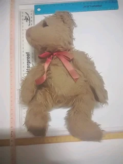 Buy a special teddy bear, support the hAndicapped