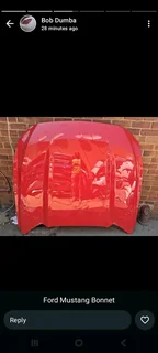 Ford Mustang Bonnet